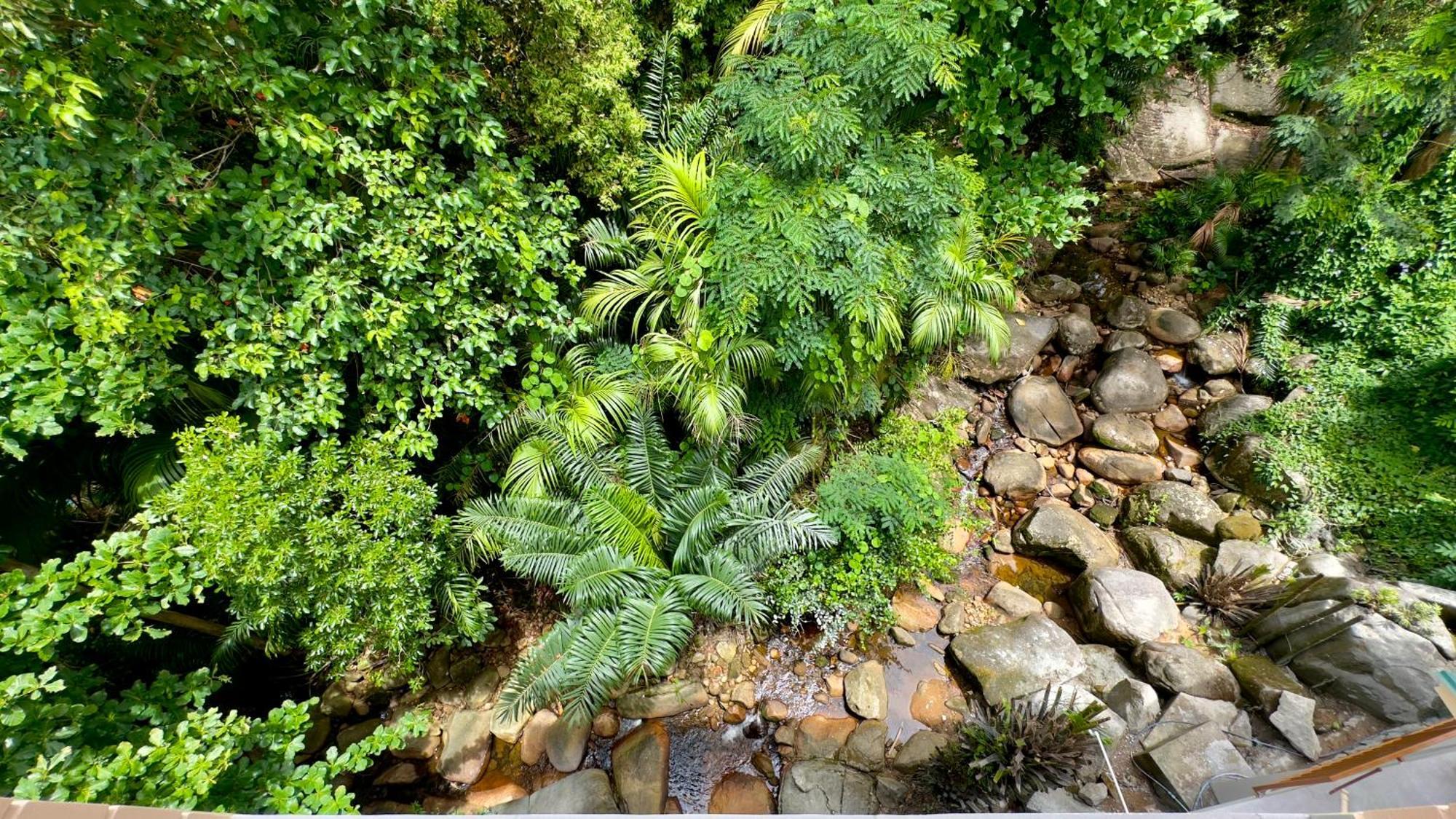 The Palm Seychelles